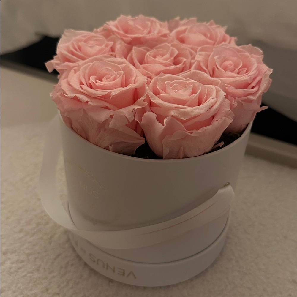 Venus et Fleur Pink Rose Arrangement - Picture 3 of 3